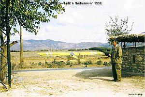 211 ALAT 6 (59)